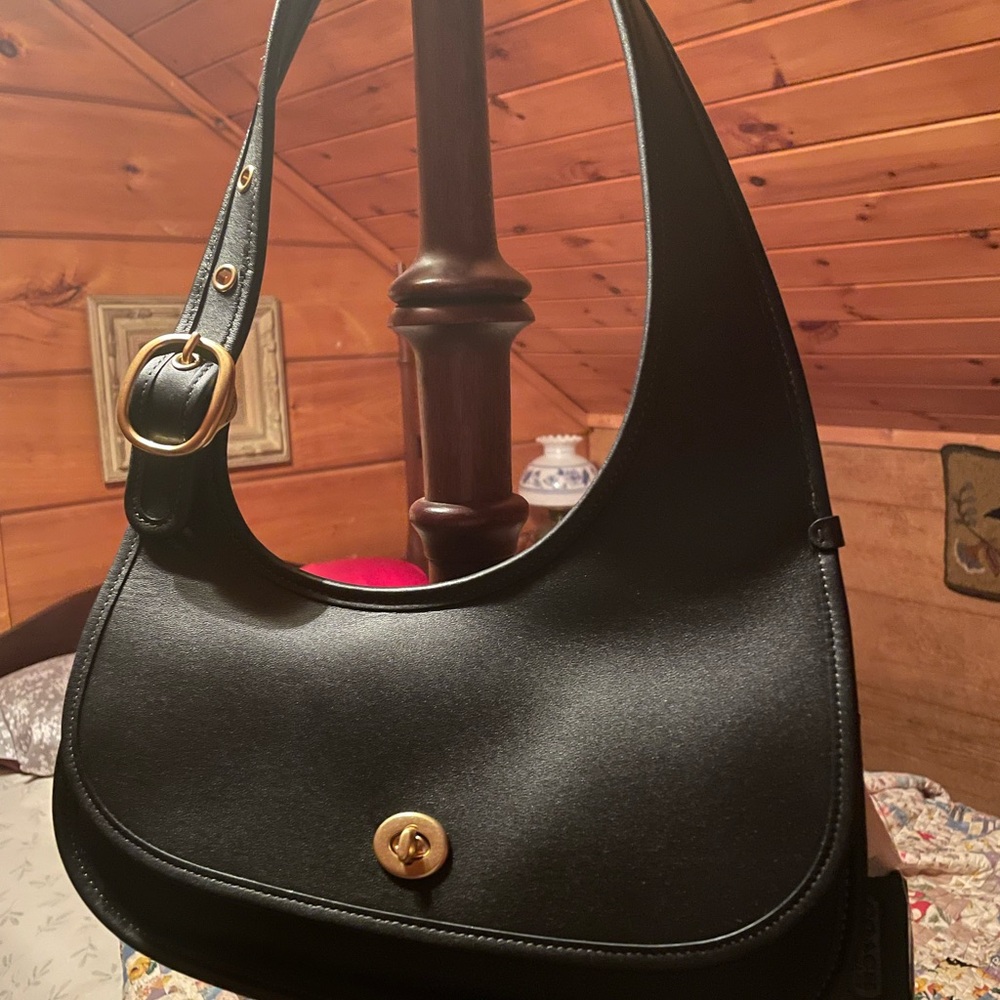 Coach Cashin Carry Crescent Bag smoking home